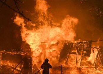 Avustralya’daki yangında ölü sayısı 15’e çıktı