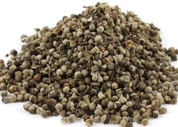 Hayıt tohumunun faydaları: Şifa deposu hayıt tohumu çayı neye iyi gelir?