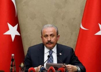 Meclis Başkanı’ndan yeni yıl mesajı