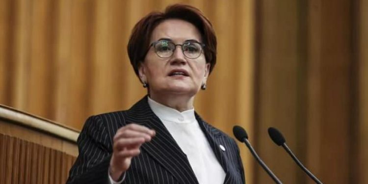 Son Dakika: Meral Akşener: Nevruz, terörün günü değildir!