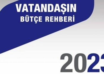 Strateji ve Bütçe Başkanlığı “bulmacalı” bütçe rehberi hazırladı
