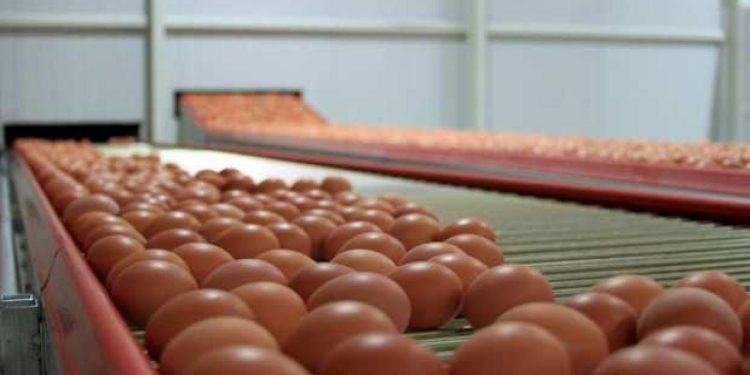 Yumurta üreticilerinden ‘yüksek fiyat’ açıklaması