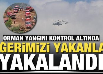 Hatay’da ciğerimizi yaktılar! Valilik orman yangınını çıkartanların yakalandığını açıkladı