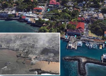 Hawaii’deki orman yangınları: Ölü sayısı 106’ya yükseldi