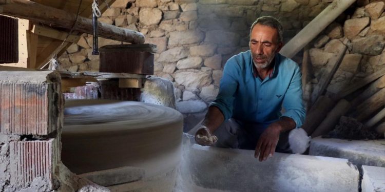 Su değirmeninin çarkları 30 yıl sonra yeniden dönmeye başladı: Babam çocuğu gibi severdi